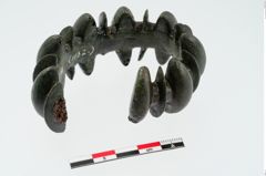 Foto von Bronzebuckelarmreif (NHMW-PRAE-024834)